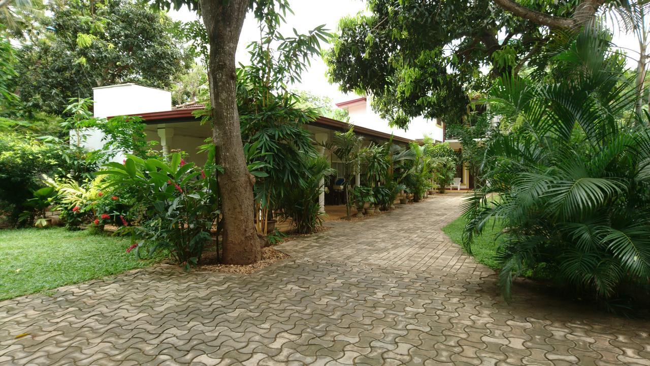 Yala Southern Homestay Tissamaharama Exterior photo